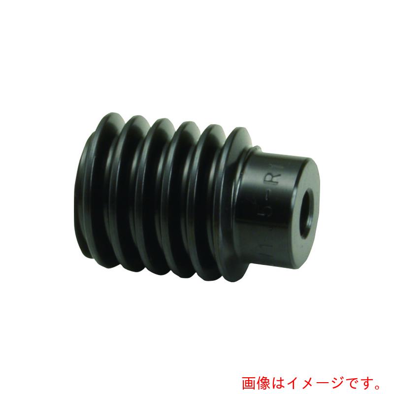 小原歯車工業（KHK）　ウォームＳＷ２．５－Ｌ２Ｊ１６　【品番：SW2.5-L2J16】