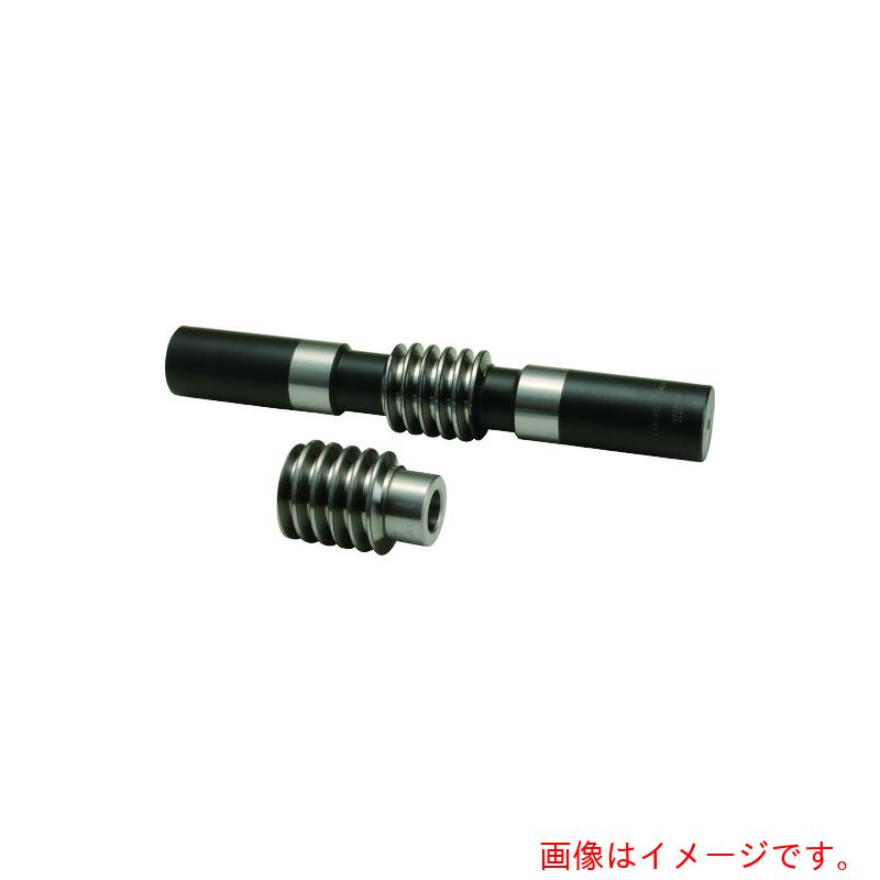 小原歯車工業（KHK）　軸付複リードウォームＫＷＧＤＬＳ４－Ｒ１　【品番：KWGDLS4-R1】