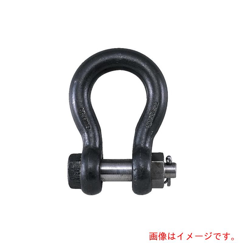 コンドーテック　ＪＩＳ規格シャックル　ＢＢシャックル　４０（１０．０ｔ）　生地　【品番：022BBNA040】｜住設プロ　店