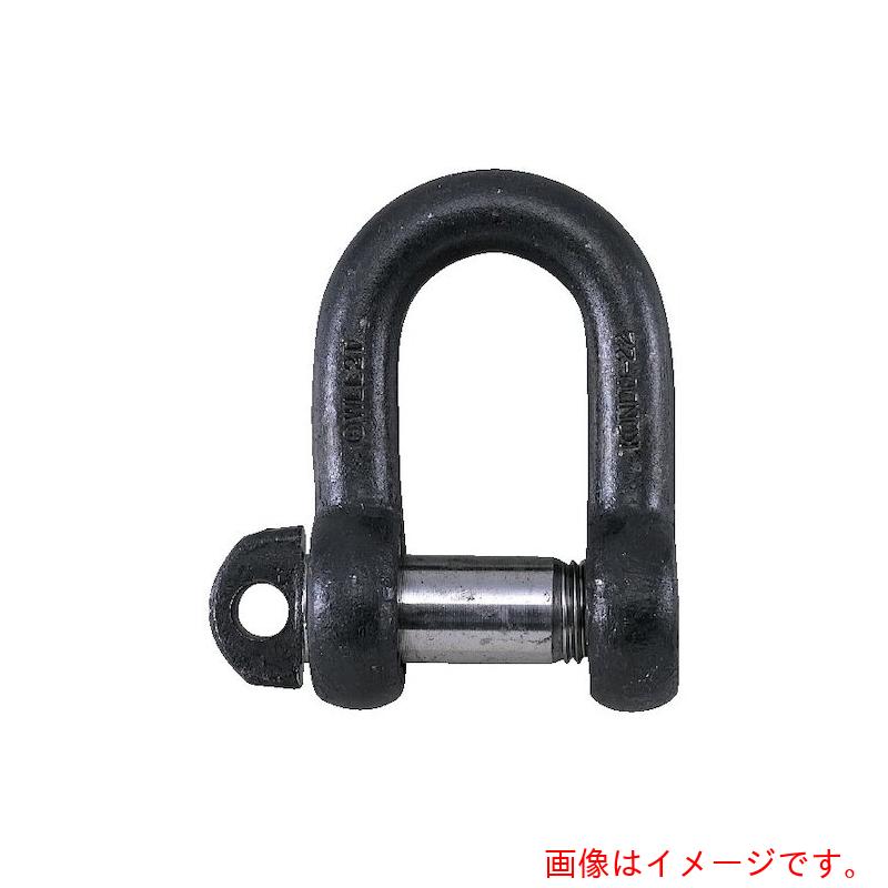 コンドーテック　ＪＩＳ規格シャックル　ＳＤシャックル　４０（７．０ｔ）　生地　【品番：022SDNA040】