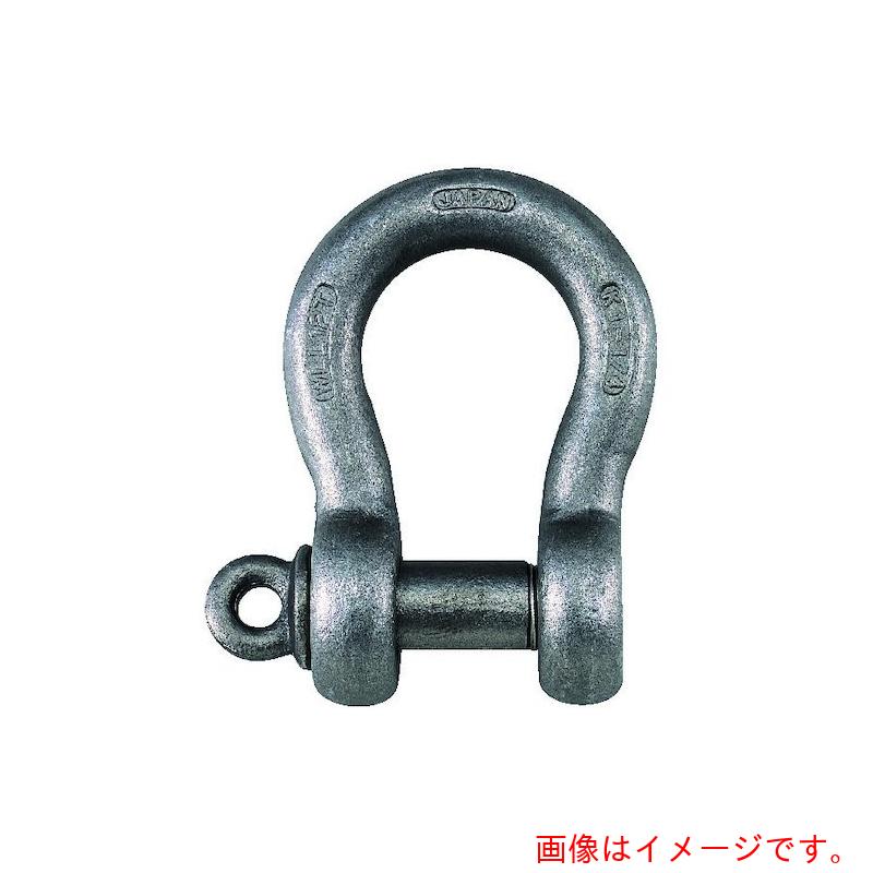 コンドーテック 亜米利加型豪然たるシャックル ねじ込型 ＫＳ－１０９ 呼１－１／４ １２ｔ 【品番：024USBAW120】
