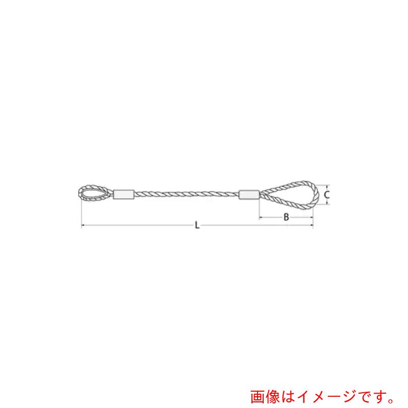 コンドーテック　ＪＩＳロック止ワイヤ　φ１６×３Ｍ　片コース片ワサ自然２８０　【品番：05220163】