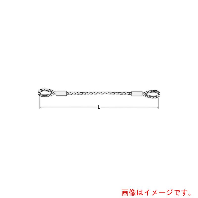 コンドーテック　ＪＩＳロック止ワイヤ　φ１８×８Ｍ　両コース入　【品番：05221188】