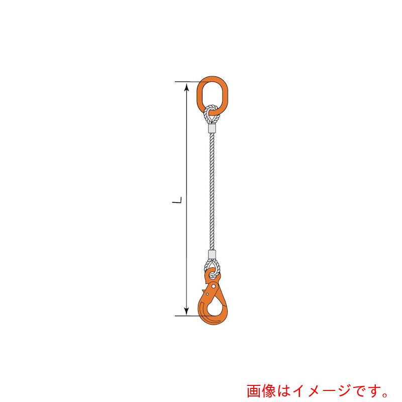 コンドーテック　ＪＩＳロック止ワイヤ　φ１２×６Ｍ　ＬＨＷ・Ａ８Ｗ　【品番：05221PAPL126】