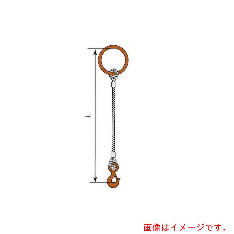 コンドーテック JISロック止ワイヤ 18mm 丸リング 環付きフック 3.2t 塗装 φ18×5M T03S・T25 【品番:05221RTFT185】|住設プロ 店