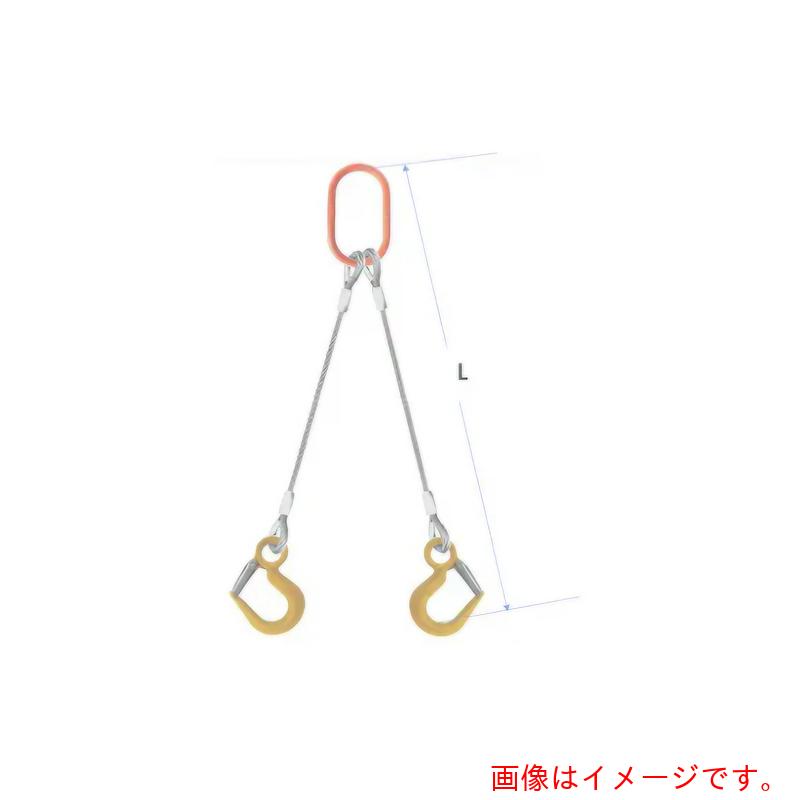 コンドーテック　ＪＩＳロック止ワイヤ　２点吊　１６ｍｍ　ＬＳフック２．０ｔ付　大型マスターリング付　φ１６×６Ｍ　ＬＳ２．０／Ｋ８Ｗ２３　【品番：05222PKFL166】
