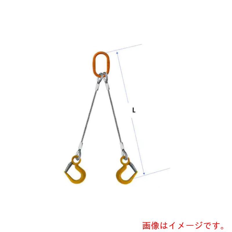コンドーテック　ＪＩＳロック止ワイヤ　２点吊　１６ｍｍ　ＬＳフック２．０ｔ付　楕円マスターリング付　φ１６×１．５Ｍ　ＬＳ２．０／Ａ５０２２Ｓ　【品番：05222RDFL161S5】