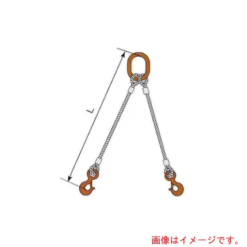 コンドーテック　ＪＩＳロック止ワイヤ　２点吊楕円リング　１８ｍｍ　環付きフック　３．２ｔ　塗装　φ１８&times;２Ｍ　Ｔ０３Ｓ・Ａ５０２２Ｓ　【品番：05222RDFT182】｜住設プロ　店