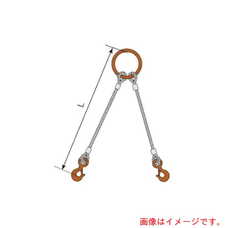 コンドーテック JISロック止ワイヤ 2点吊丸リング 16mm 環付きフック 2.0t 塗装 φ16×6M T02S・T32 【品番:05222RTFT166】|住設プロ 店