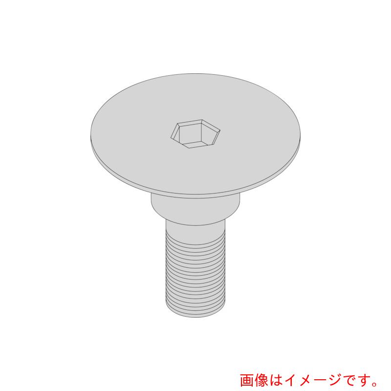 京セラ　部品　ねじ（クーラントホール付き）　【品番：HF16X48HC】