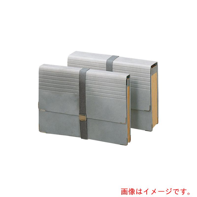 ライオン事務器（LION）　ドキュメントファイルＤＣ－４１　【品番：15604】