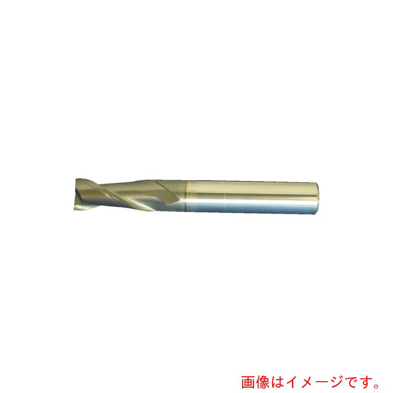 MAPAL（マパール） 超硬スクエアエンドミル ＥＣＯ－Ｅｎｄｍｉｌｌ（Ｍ４０３２） ２枚刃／スクエアエンドミル 刃径１６粍 刃長４０粍 全長１００粍 シャンク径１６粍 【品番：M4032-1600AE】