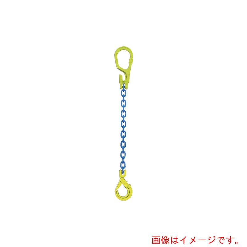 マーテック（MARTEC） チェーンスリングセット ＭＧ１－ＧＢＫ１０ チェーン店長＝２ｍ 【品番：MG1-GBK10】