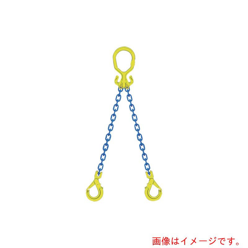マーテック（MARTEC） チェーンスリングセット ＭＧ２－ＧＢＫ１３ チェーン店長＝２ｍ 【品番：MG2-GBK13】