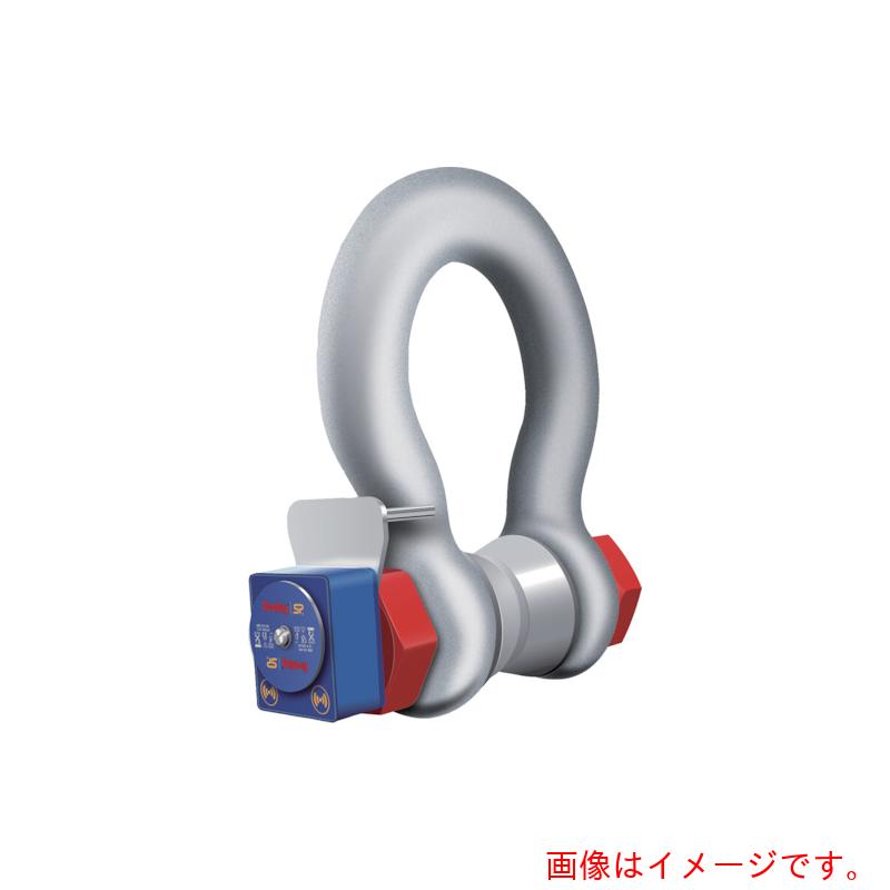 マーテック（MARTEC） ホイスト規摸 無線電話ロードシャックル ＷＬＳ １２Ｔ 手持ち見せびらかす別売り 【品番：WLS12T】