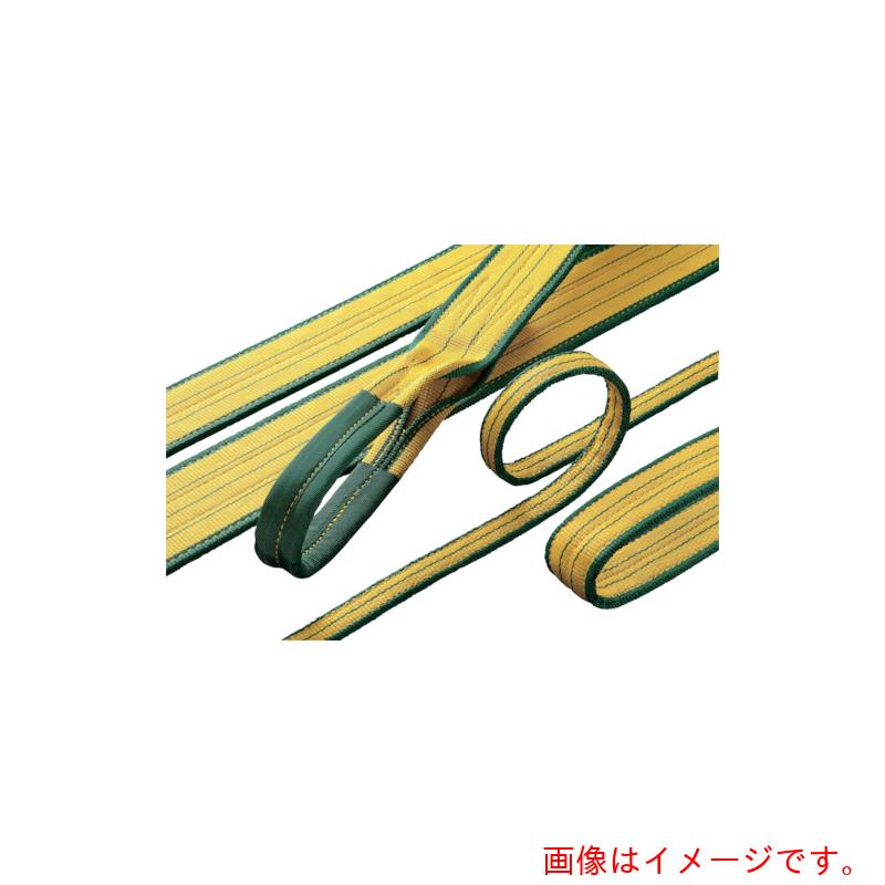明大（MEIDAI）　ロックスリング　シグマ　Ａ－１　１００ｍｍ×１６．０ｍ（両端アイ形）　【品番：A-1 100X16.0】