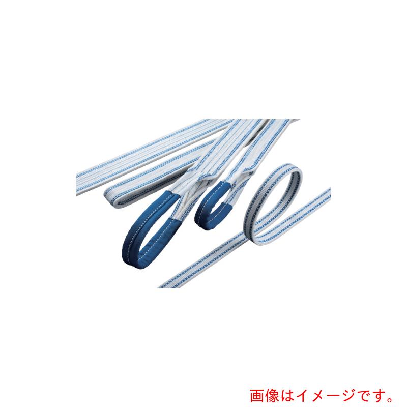 明大（MEIDAI）　ロックスリング　エステル　Ｂ－１　５０ｍｍ×２．５ｍ（両端アイ形）　【品番：B-1 50X2.5】