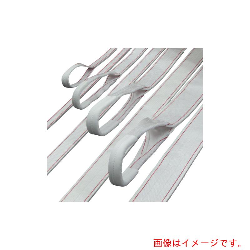 明大（MEIDAI）　ロックスリング　ＰＰ　Ｐ－１　１００ｍｍ×３．０ｍ　【品番：P-1 100X3.0】