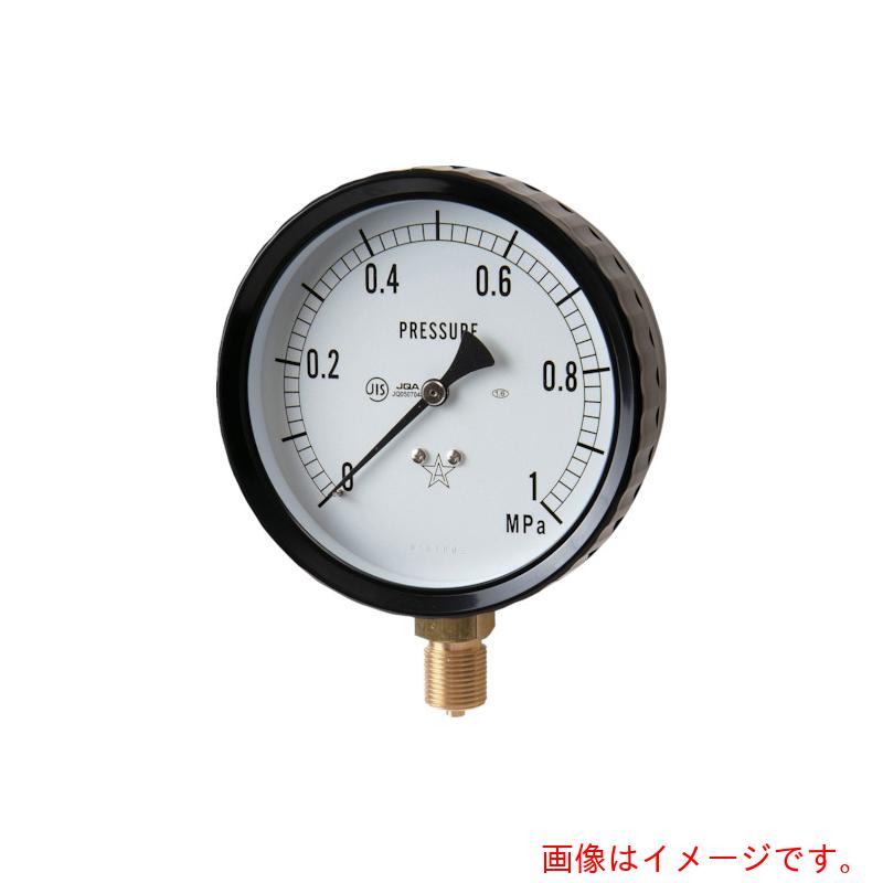 右下精器製造　密閉形圧力計　【品番：W311-241-2MPA】