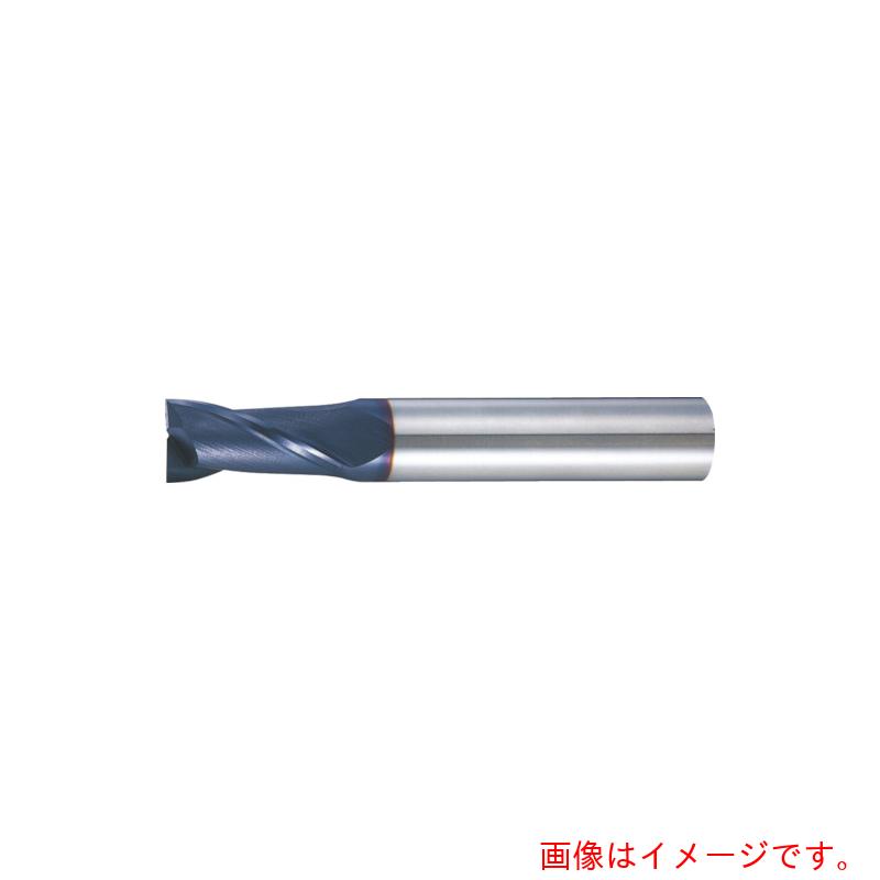 MOLDINO　ＥＳＭ－ＣコートＥＭ　【品番：2ESMSC12】