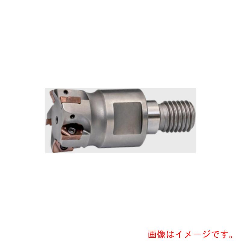 MOLDINO アルファ．ポリッシュ粉砕機Ｖ手合いＭＩＮＩ 【品番：ASPVM1011R-2-M6】