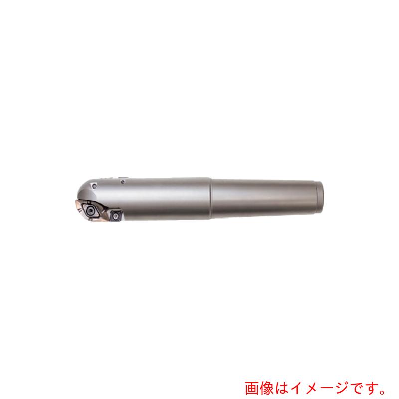 MOLDINO ハサキコウカンシキボールエンドミル 【品番：BR2P4050MT5-170-M20】