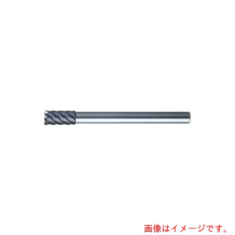 MOLDINO　エポック２１　ロングシャンク　ＣＥＰＬＳ６０８０　【品番：CEPLS6080】