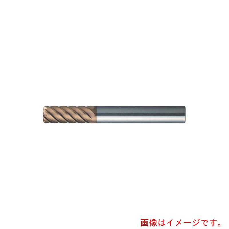 MOLDINO 時代ＴＨ捉え所のない 隅っこＲ仕合わせ ＣＥＰＲ６０６０－１０－ＴＨ 【品番：CEPR6060-10-TH】