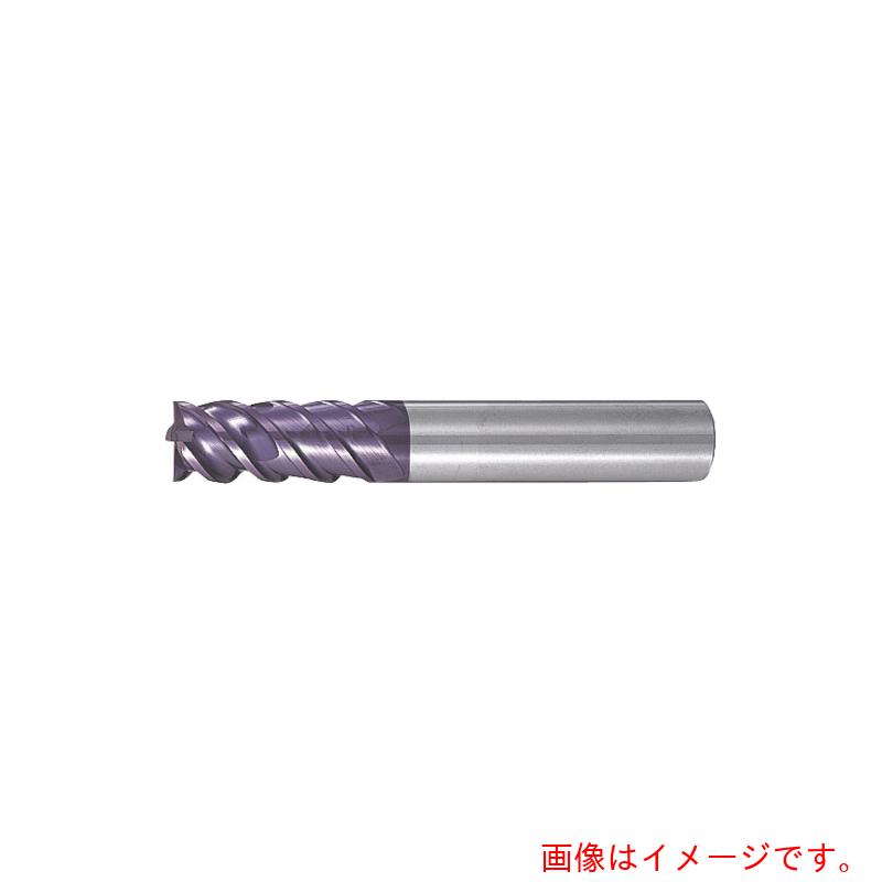 MOLDINO 世紀２１ ユニバーサル ＣＥＰＵ４２００ 【品番：CEPU4200】