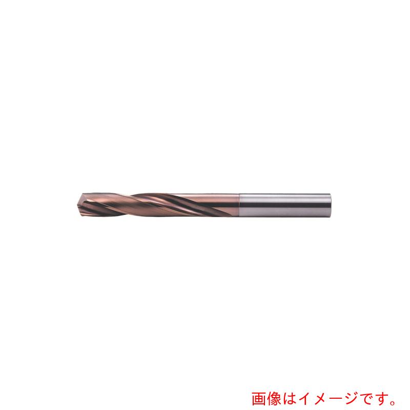MOLDINO 世紀ＴＨ捉え所の無いせん孔機 ＥＨＳＥ９．０－ＴＨ 【品番：EHSE9.0-TH】