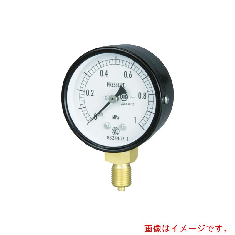 長野計器　普通形圧力計　Ａ枠立型　Φ６０最小目盛０．１００　【品番：AA10-121-4.0MP】