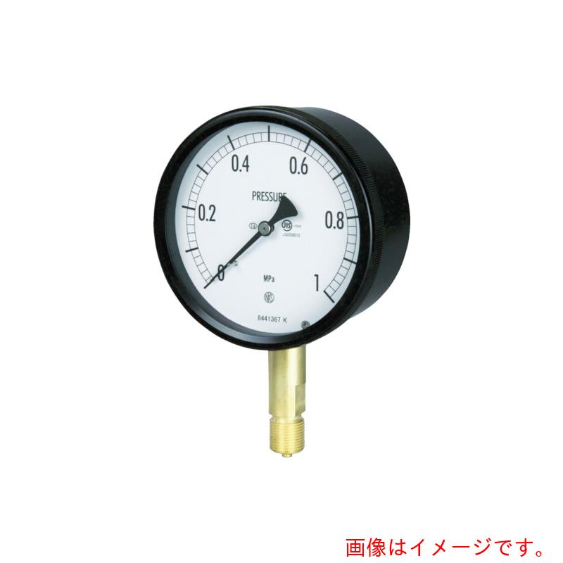 長野計器　密閉形圧力計　Ａ枠立型　Φ１００　最小目盛０．００５　【品番：BE10-131-0.25MP】