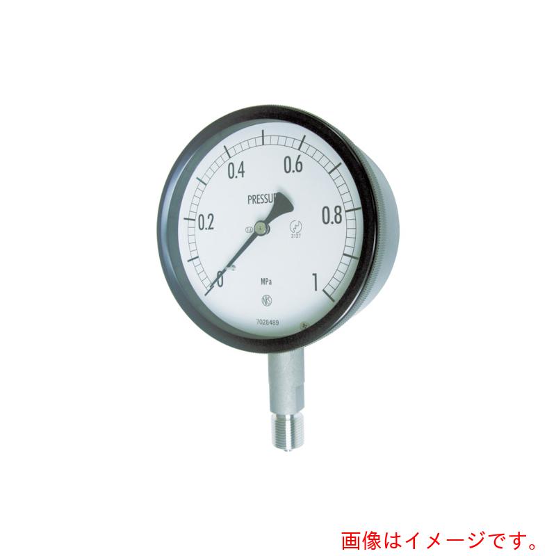 長野計器　密閉形圧力計　Ａ枠立型　Φ１００　最小目盛０．００２　【品番：BE10-133-0.1MP】｜住設プロ　店