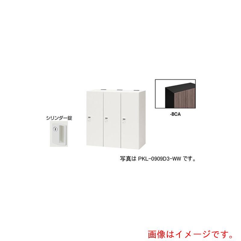 【別途貨物輸送あり】ナイキ（NAIKI） 個人的ロッカー 【品番：PKL-09093-BCA】