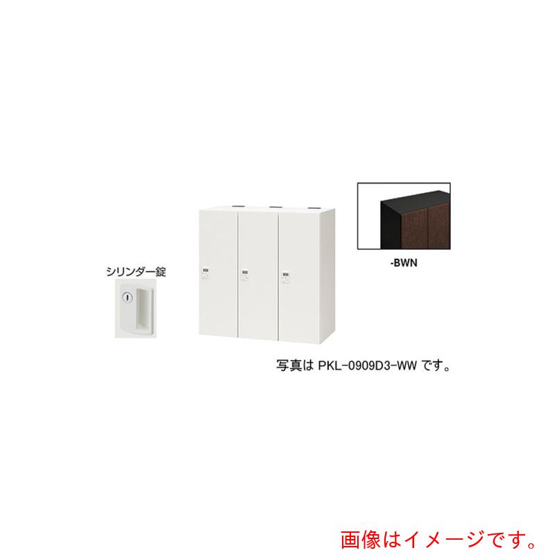 【別途貨物輸送あり】ナイキ（NAIKI） 個人的ロッカー 【品番：PKL-09093-BWN】