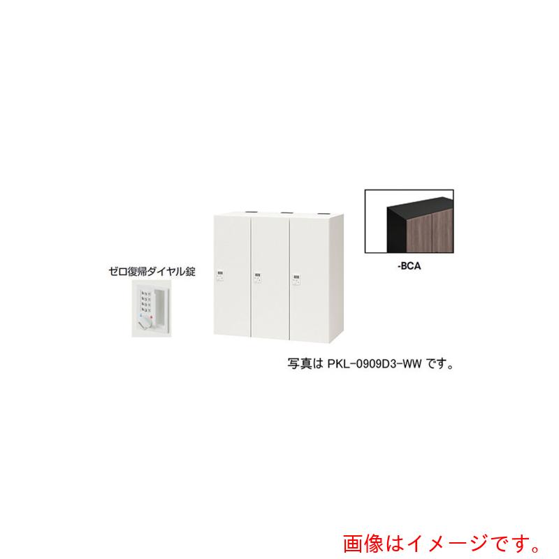 【別途貨物輸送あり】ナイキ（NAIKI） 個人的ロッカー 【品番：PKL-0909DR3-BCA】