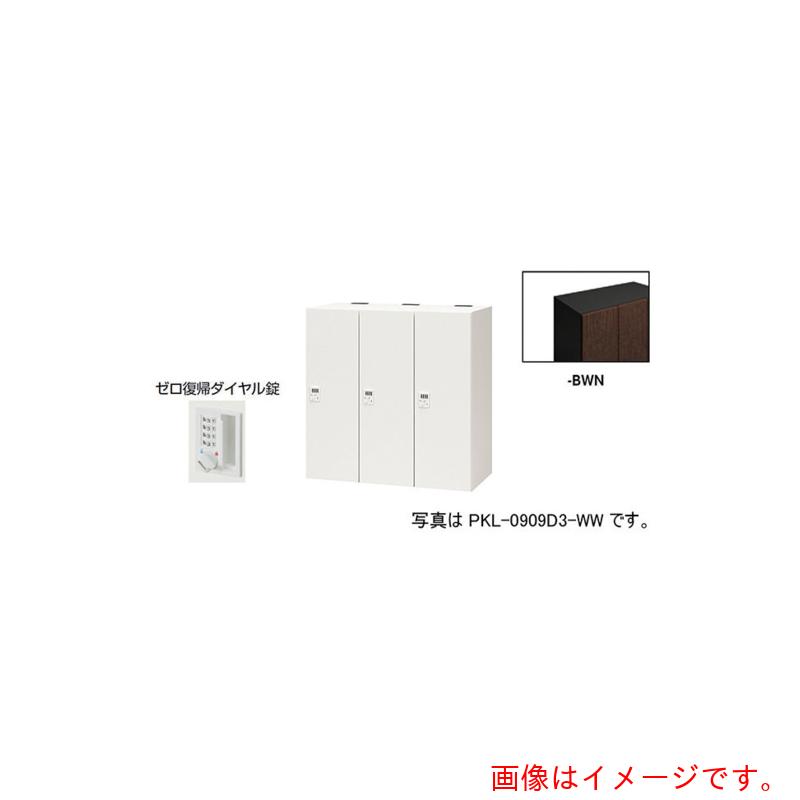 【別途貨物輸送あり】ナイキ（NAIKI） 個人的ロッカー 【品番：PKL-0909DR3-BWN】