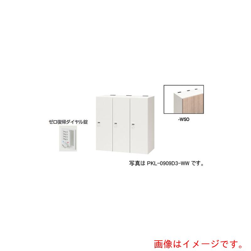 【別途貨物輸送あり】ナイキ（NAIKI） 個人的ロッカー 【品番：PKL-0909DR3-WSO】