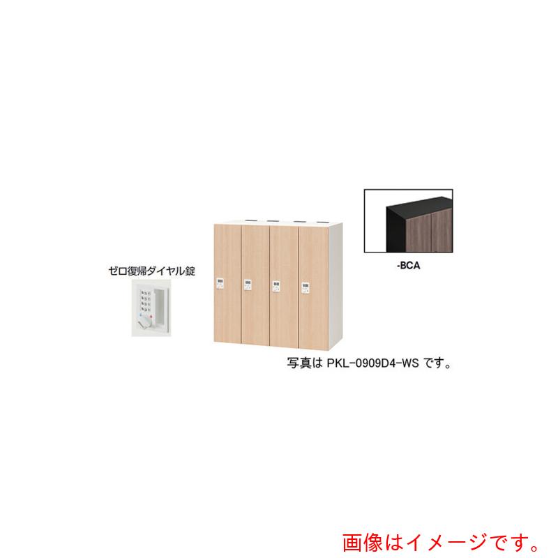 【別途送料あり】ナイキ（NAIKI）　パーソナルロッカー　【品番：PKL-0909DR4-BCA】