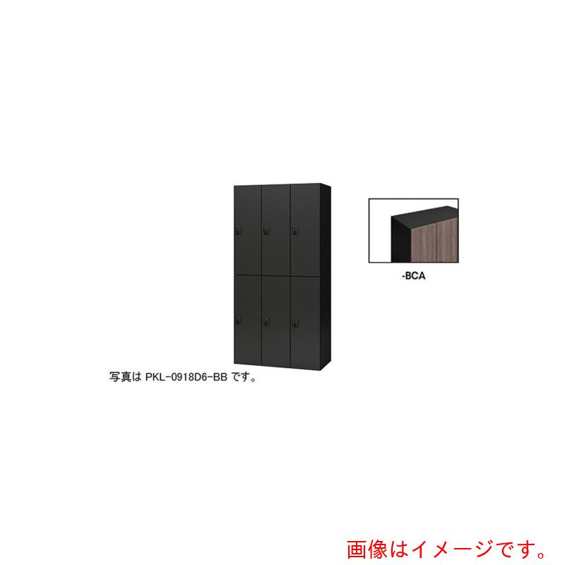 【別途貨物輸送あり】ナイキ（NAIKI） 個人的ロッカー 【品番：PKL-0918D6-BCA】