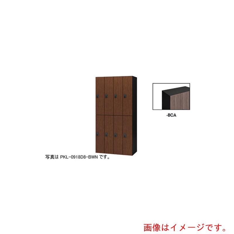 【別途貨物輸送あり】ナイキ（NAIKI） 個人的ロッカー 【品番：PKL-0918D8-BCA】
