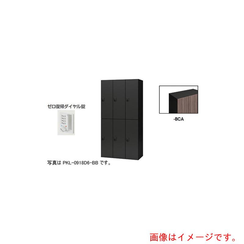 【別途貨物輸送あり】ナイキ（NAIKI） 個人的ロッカー 【品番：PKL-0918DR6-BCA】