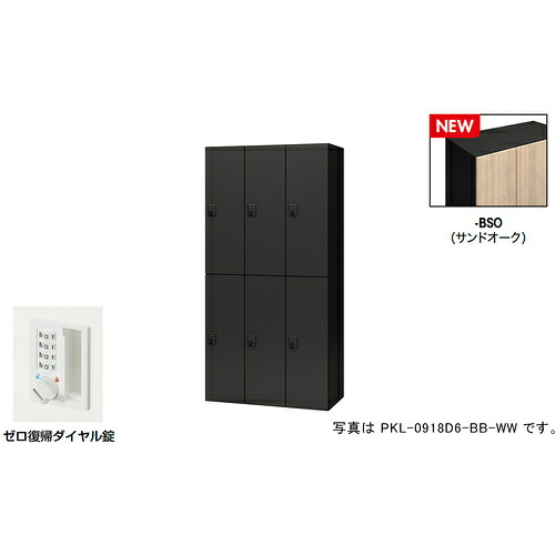 【別途貨物輸送あり】ナイキ（NAIKI） 個人的ロッカー（６人用） 隠し ＰＫＬ型／扉：砂子オーク材 本体：黒いこと／Ｗ９００×Ｄ４５０×Ｈ１８００ 【品番：PKL-0918DR6-BSO】