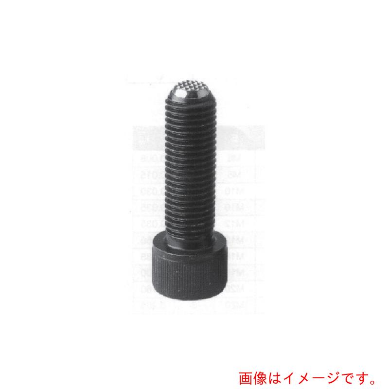 ニューストロング　クランピング　スクリュ－（ＢＷタイプ）　セレーションタイプＭ１６×６４　【品番：CBW-1665】