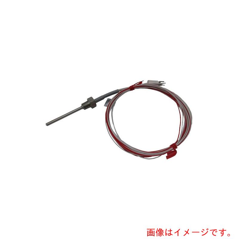 【別途送料あり】日本電測（NDS）　ネジ付白金測温抵抗体　【品番：RN6-2M】