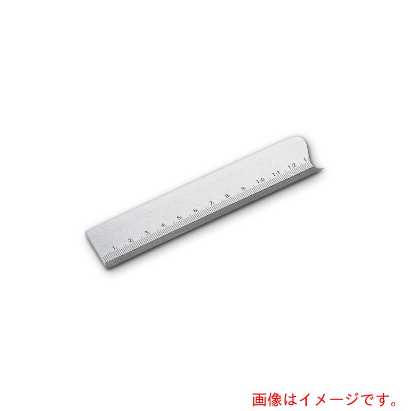 新潟精機 SK 目盛付鋼製標準尺度引っ切りない境界線 Ｂ形 ７５０粍 【品番：STG-B750】