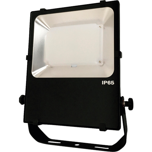日機　ＬＥＤ投光器　５０Ｗ　ＡＣ１００－１２０Ｖ　【品番：NLFL50D-AC1-S(3M+P)】