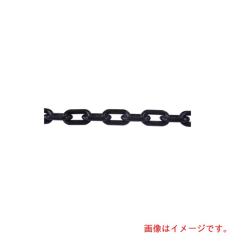 ニッサチェイン　プラカラーチェン　３０ｍ　黒　【品番：PW60-BK】