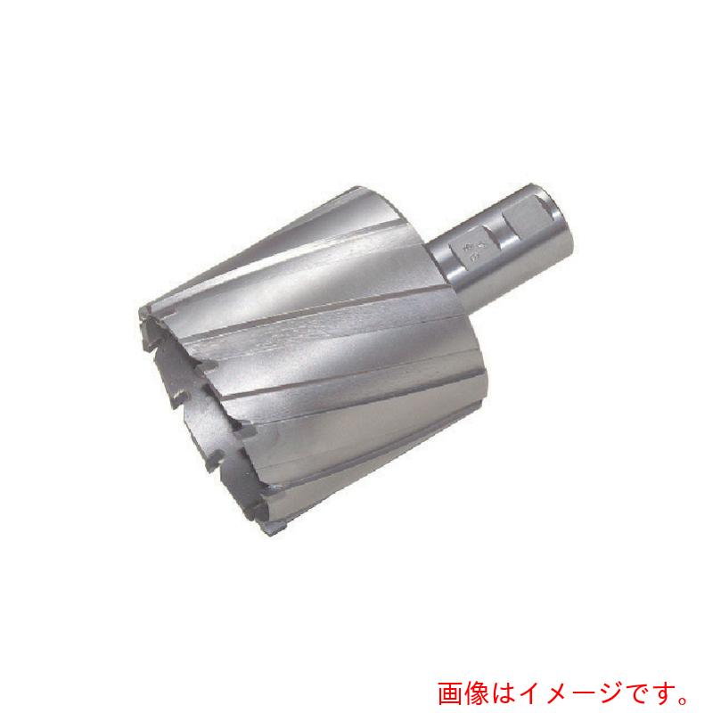 日東工器 ジェット機胸飾り ９９Ｘ７５Ｌ １４８８８ 【品番：NO.14888】