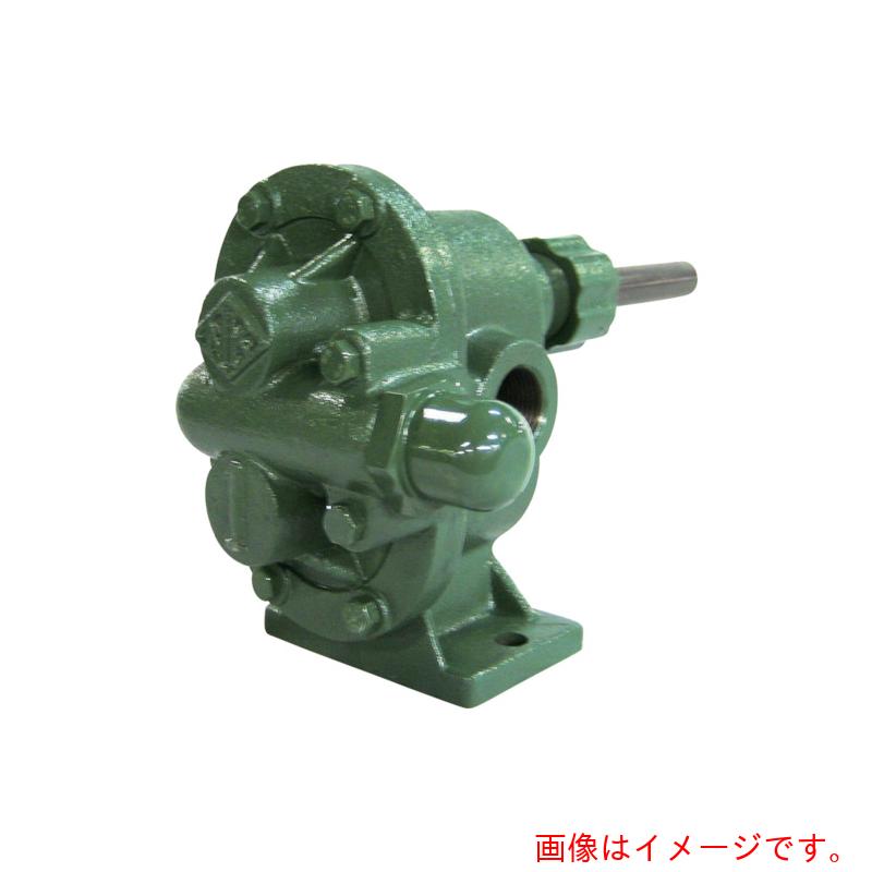 亀嶋鐵工所（NK） ギヤーポンプ （安全弁付・単体型） 【品番：KA-2 1】